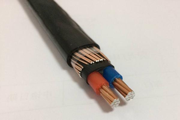 Cable concéntrico