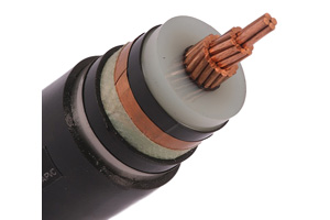 Cable Eléctrico de Un Solo Núcleo N2XSBY (CU/XLPE/STA/PVC)