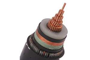 Cable Eléctrico de un Núcleo N2XSRY (CU/XLPE/SWA/PVC)