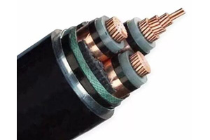 Cable Eléctrico de Tres Núcleos N2XSEBY (CU/XLPE/STA/PVC)