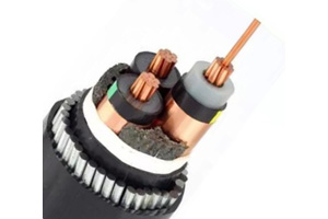Cable Eléctrico de Tres Núcleos N2XSERY (CU/ XLPE/CTS/PVC)